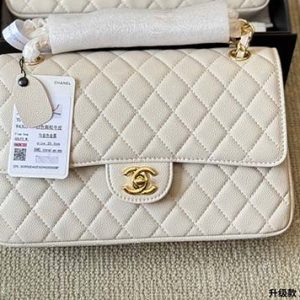 Beige in Golden Buckle