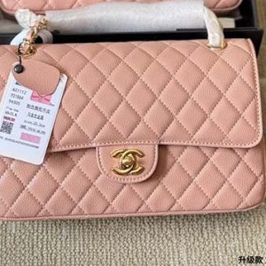 Pink in Golden Buckle